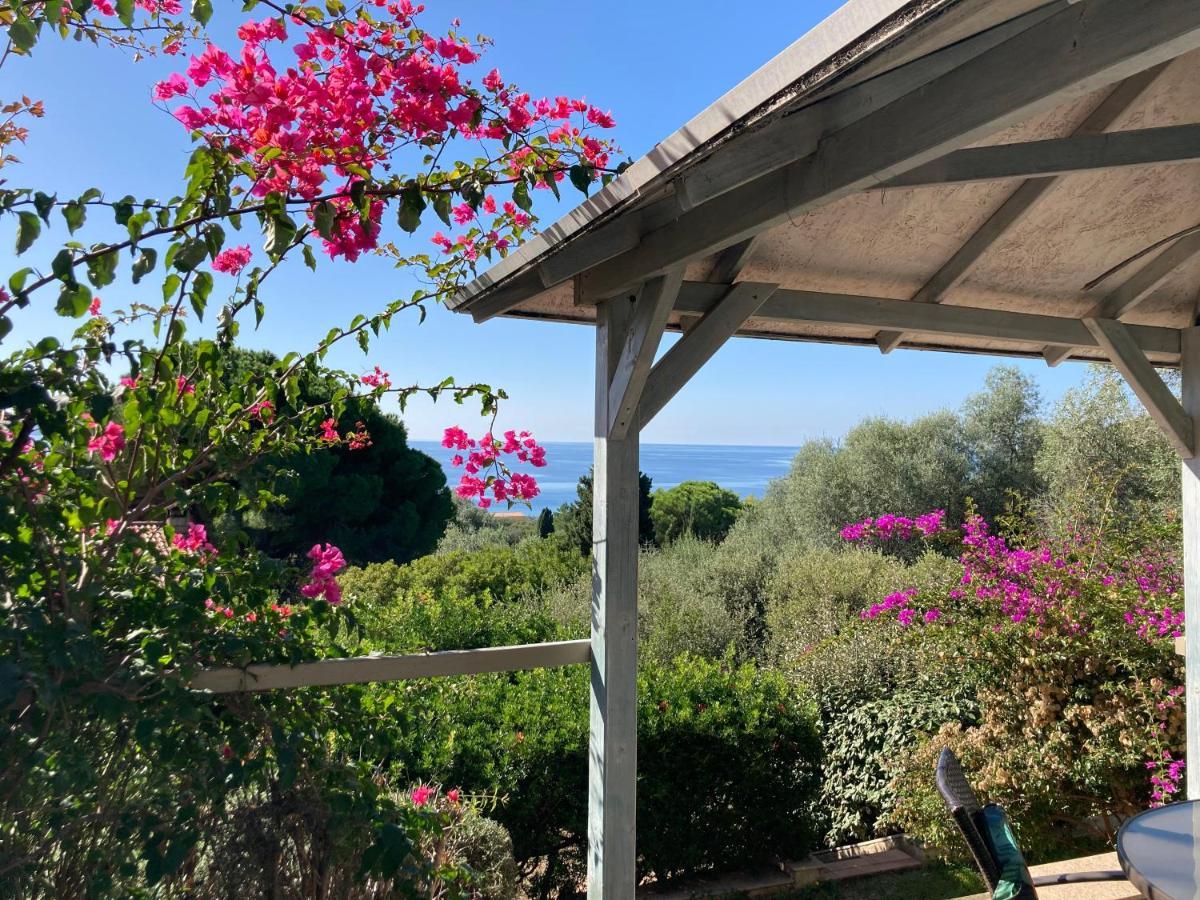 Chez Jean Claude La Villa Des Amis Olmeto  Εξωτερικό φωτογραφία
