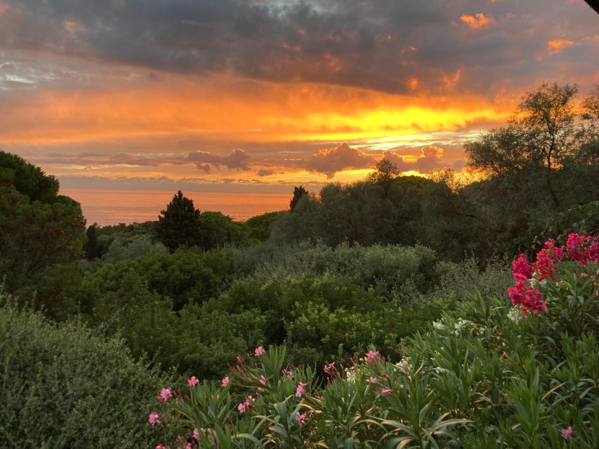 Chez Jean Claude La Villa Des Amis Olmeto  Εξωτερικό φωτογραφία