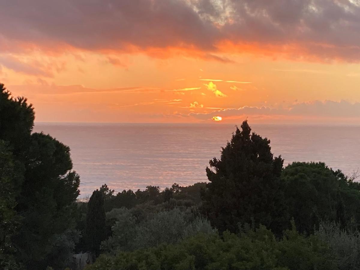Chez Jean Claude La Villa Des Amis Olmeto  Εξωτερικό φωτογραφία