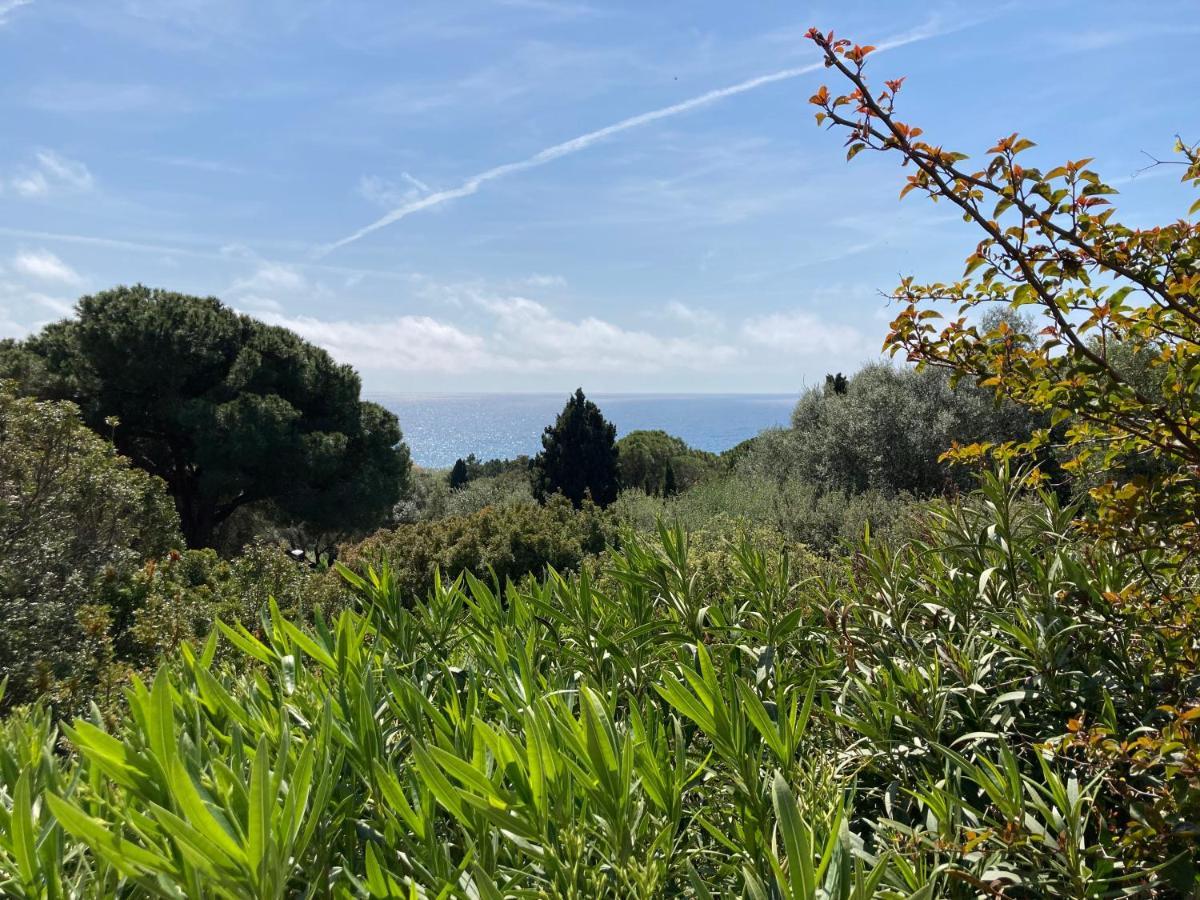 Chez Jean Claude La Villa Des Amis Olmeto  Εξωτερικό φωτογραφία