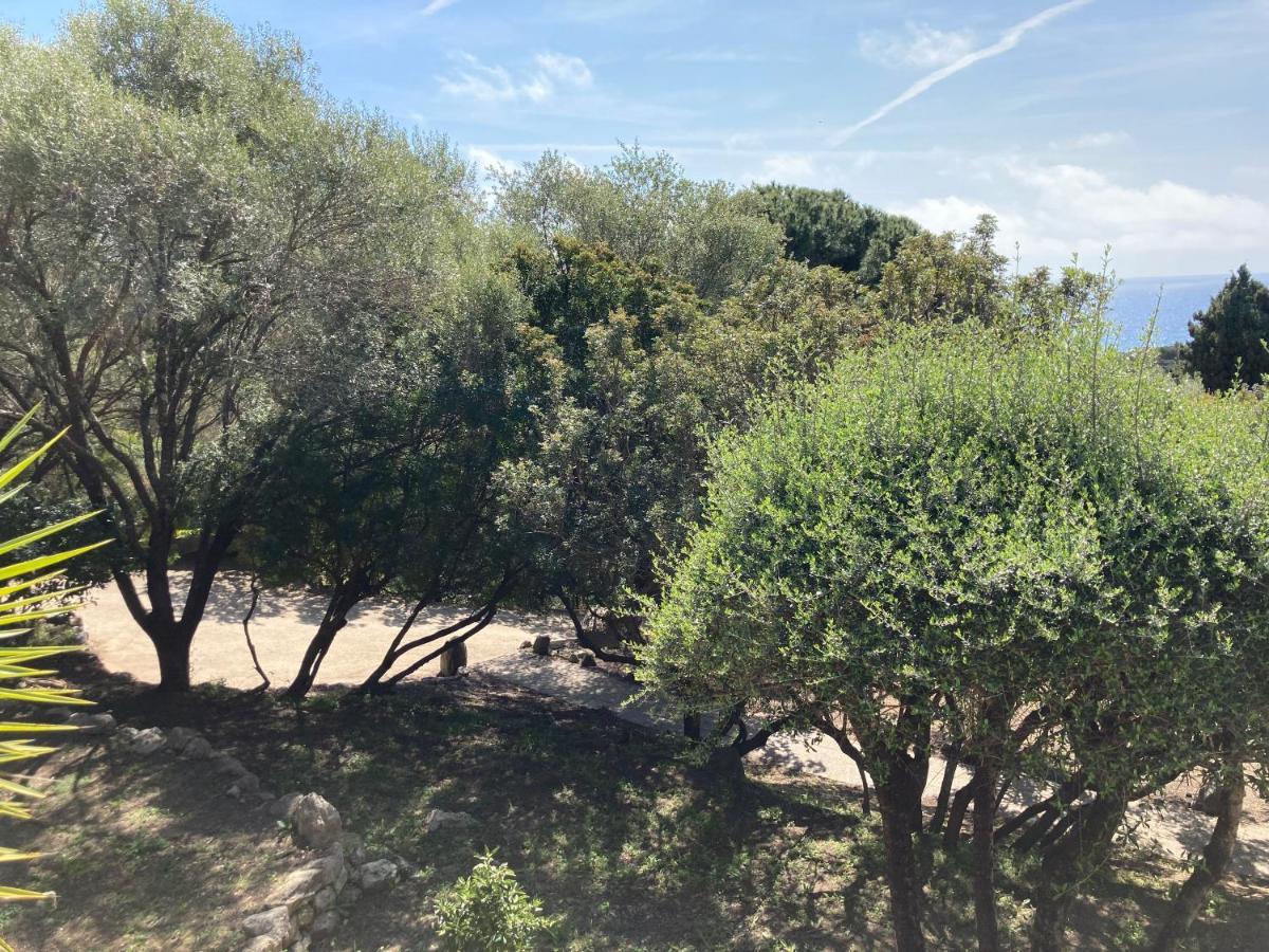 Chez Jean Claude La Villa Des Amis Olmeto  Εξωτερικό φωτογραφία