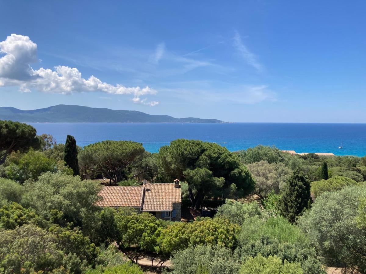 Chez Jean Claude La Villa Des Amis Olmeto  Εξωτερικό φωτογραφία